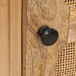 vidaXL Buffet avec porte Marron 40 x 33 x 75 cm Bois de mangue massif