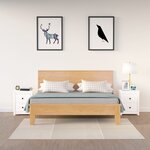 vidaXL Tables de chevet 2 Pièces Blanc 50x35x61 5 cm Bois de pin massif