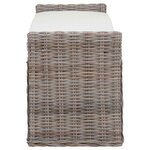 vidaXL Banc de rangement avec coussin Gris 110 x 40 x 50 cm Rotin