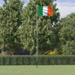 vidaXL Drapeau de l'Irlande et mât 6 08 m Aluminium