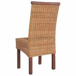 vidaXL Chaises à manger lot de 2 marron rotin naturel