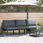 vidaXL Mobilier de jardin avec coussin 3 Pièces Anthracite Acier