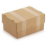 Caisse carton télescopique brune simple cannelure raja 30 5x21 5x15/27 cm (lot de 25)
