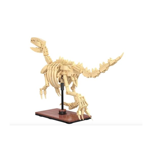 CADA - Creative - Squelette de velociraptor