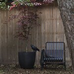 Capi Jardinière Urban Smooth 54x52 cm noir KBL935