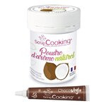 Arôme alimentaire naturel en poudre noix de coco + stylo chocolat