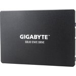 GIGABYTE - Disque SSD Interne - 256Go - 2,5 (GP-GSTFS31256GTND)