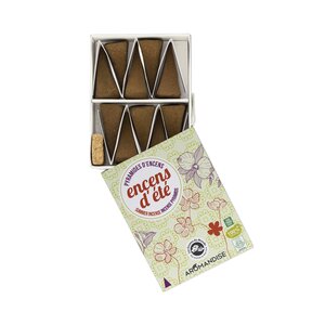 60 pyramides d'encens anti-moustiques 30 min