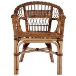 vidaXL Chaises d'extérieur lot de 4 Rotin naturel Marron