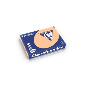 Ramette 250 Feuilles Papier 120g A4 210x297 mm Abricot CLAIREFONTAINE