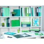 Classeur 4 Anneaux 30mm Iderama Pp Polypropylène 7/10e - A4 Maxi - Vert Anis - X 10 - Exacompta