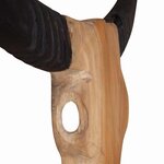 vidaXL Sculpture de crâne de taureau teck 66x15x88 cm
