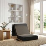 vidaXL Canapé-lit pliable 75 x 63 x 45 cm Gris foncé