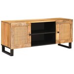 vidaXL Meuble TV Marron 105 x 33 x 46 cm Bois de mangue massif