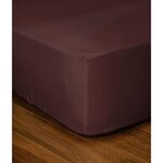 Drap-housse 160 x 200+25 cm - Marron