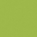 vidaXL Oreiller d'extérieur lot de 4 60 x 40 cm Vert pomme