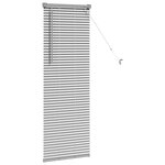 vidaXL Store de Fenêtre avec des rideaux Manuel Argent Aluminium