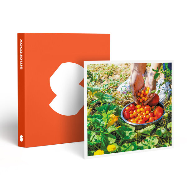 SMARTBOX - Coffret Cadeau Atelier écologique de permaculture et visite guidée d'une ferme à Montpellier -  Sport & Aventure