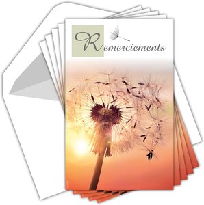Lot 5 cartes remerciements condoléances +5 enveloppes blanches format 9x14cm