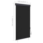 vidaXL Store roulant d'extérieur 100 x 250 cm Anthracite