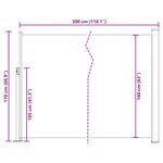 vidaXL Auvent latéral rétractable de patio 170x300 cm Noir