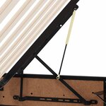 vidaXL Lit de Rangement Noir 160 x 200 cm Cuir synthétique