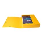 Boite De Classement Exabox Dos 60mm Carte Lustrée Scotten - A4 - Couleurs Assorties - X 10 - Exacompta