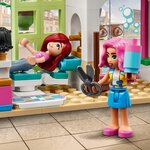 41743 Le salon de coiffure ® Friends