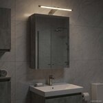 vidaXL Armoire Miroir de Salle de Bain Gris béton 30 x 10 5 x 50 cm