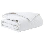 vidaXL Duvet d'hiver 135 x 200 cm Hiver Plume Blanc Respirant
