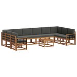 vidaXL Ensemble de canapés d'extérieur 11 pc Naturel et Anthracite
