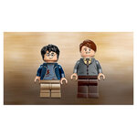 76414  Harry Potter - Expecto patronum V29