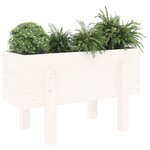 vidaXL Jardinière blanc 62x30x38 cm bois massif de pin