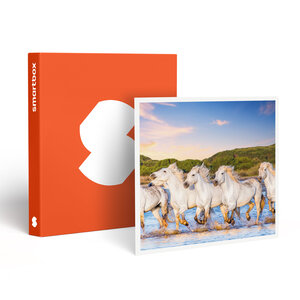 SMARTBOX - Coffret Cadeau Séjour romantique : 2 jours dans un hôtel en Camargue -  Séjour