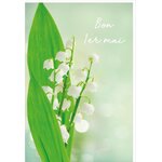 Carte De Voeux- Brin De Muguet - Draeger paris
