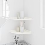 vidaXL Étagère flottante avec étagère 2 Pièces Blanc 30 x 30 x 2 cm