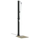 vidaXL Douche solaire d'extérieur avec pommeau de douche à main 217 cm 20 L