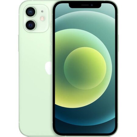 Apple iphone 12 256go vert