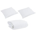 vidaXL Couette Autre avec oreiller 3 Pièces Blanc 200 x 200 cm Bas