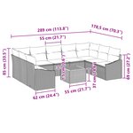 vidaXL Ensemble de canapé de jardin 10 pièces avec coussins Noir Poly Rattan Acacia