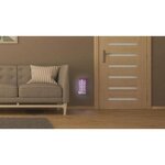 Capture insecte adhesif 4 W LED