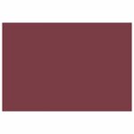 vidaXL Toile de rechange pour auvent Rouge bordeaux 450 × 350 cm