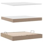 vidaXL Lit avec rangement et LED Cappuccino 200 x 200 cm Simili cuir