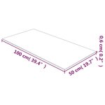vidaXL Dessus de table Transparent 50x100 cm Verre trempé