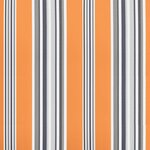 vidaXL Tissu de remplacement de cantonnière d’auvent multicolore 5 m