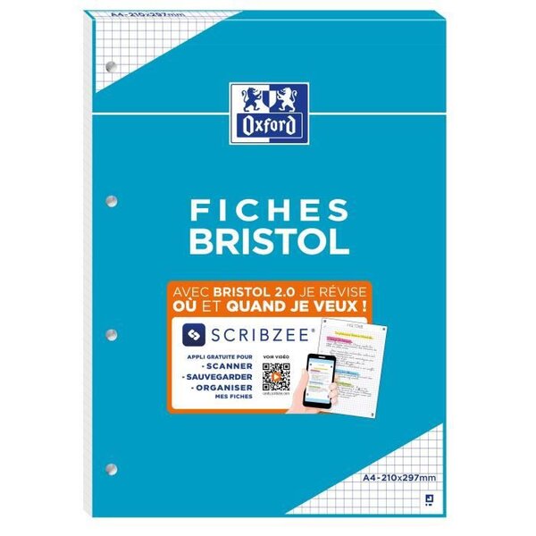 BLOC BRISTOL 2.0 OXFORD PERFORE A4 30 FICHES 210G QUADRILLE 5mm