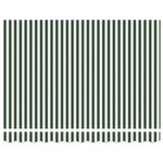 vidaXL Auvent Rétractable Vert et blanc 300 x 250 cm Tissu et Métal