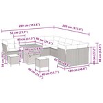 vidaXL Ensemble de canapé de jardin 13 Pièces Beige polyrotin