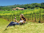 SMARTBOX - Coffret Cadeau - Sur la Route des vins - À choisir parmi 116 séjours au cœur de vignobles