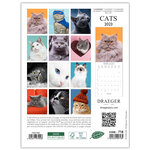 Petit calendrier mural chats - 2023 - draeger paris